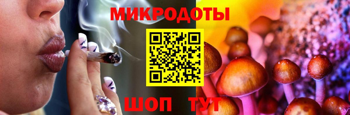Кандалакша  Галлюциногенные грибы мухоморы  Вход с VPN 